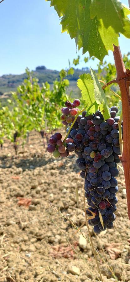 Agriturismo Sotto La Rocca Villa Carmignano Eksteriør billede